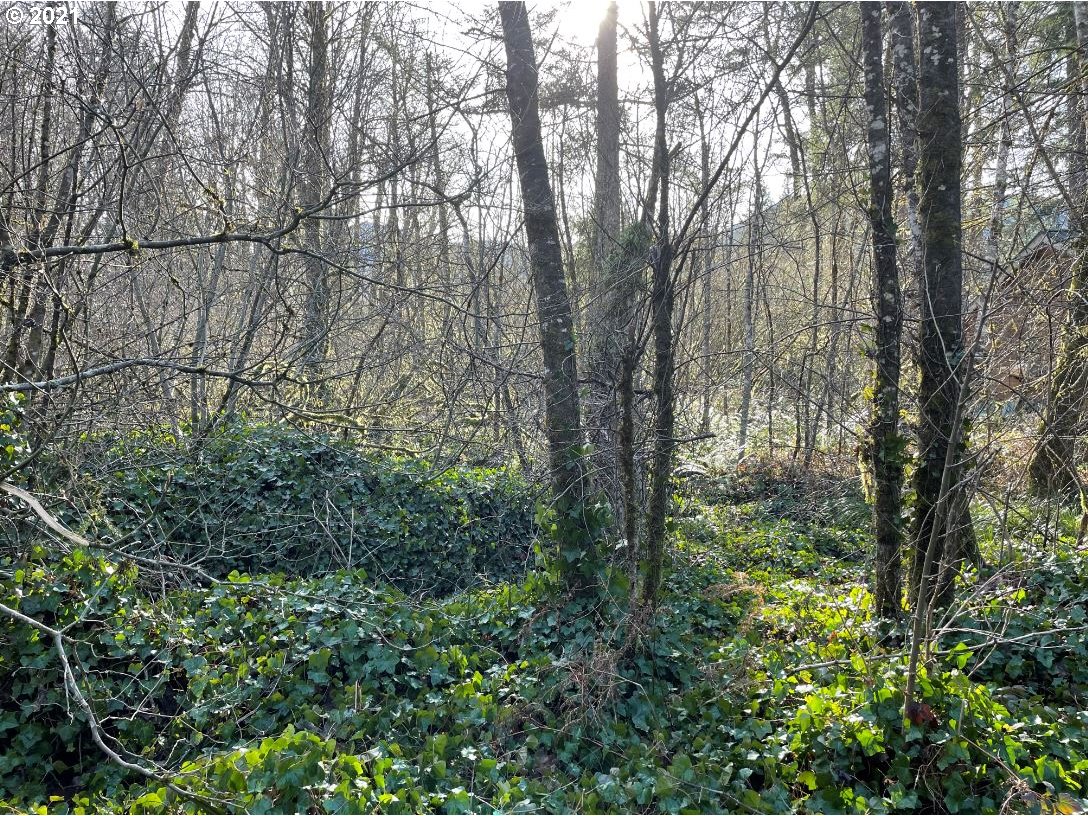 65506 East Sandy River Lane Rhododendron, OR 97049 - Photo 1 of 13 a view of forest