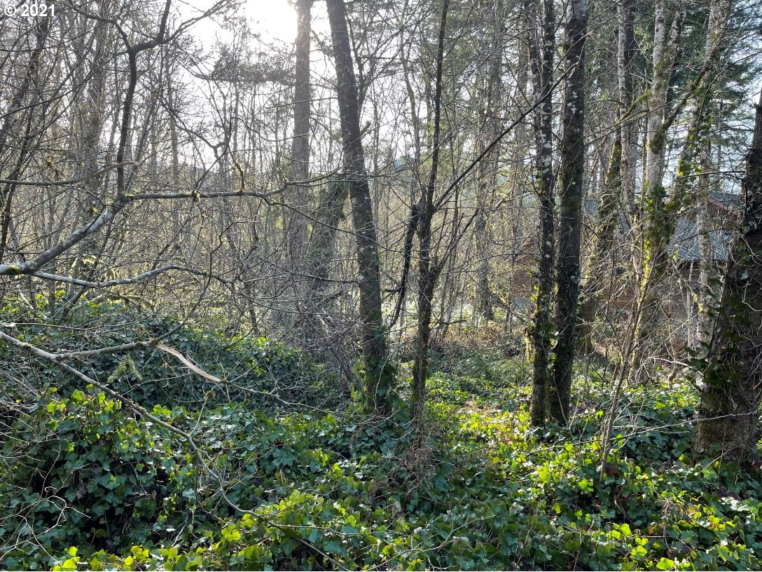 65506 East Sandy River Lane Rhododendron, OR 97049 - Photo 11 of 13 a view of a yard with a tree