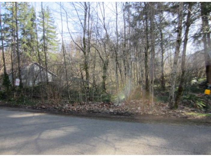 65506 East Sandy River Lane Rhododendron, OR 97049 - Photo 3 of 13 a big yard with large trees