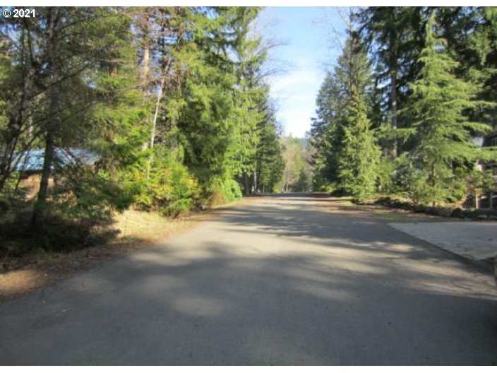 65506 East Sandy River Lane Rhododendron, OR 97049 - Photo 7 of 13 a view of road and yard