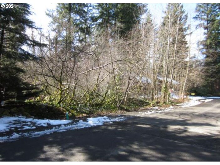 65506 East Sandy River Lane Rhododendron, OR 97049 - Photo 10 of 13 a view of a yard with a tree