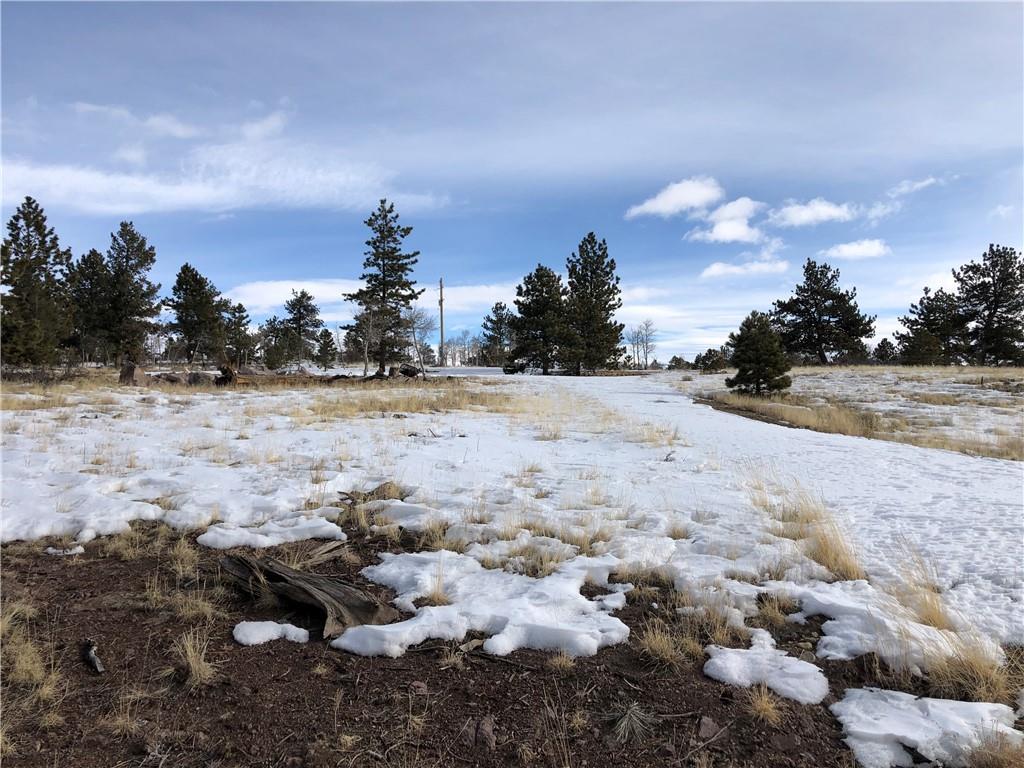 192 Bandana Road Hartsel, CO 80449 - Photo 2 of 10 Gallery Image 2