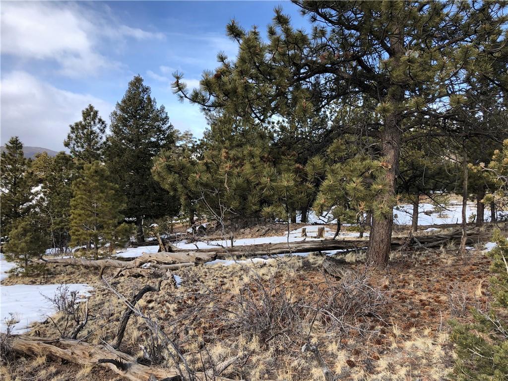 192 Bandana Road Hartsel, CO 80449 - Photo 3 of 10 Gallery Image 3