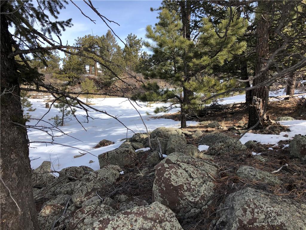 192 Bandana Road Hartsel, CO 80449 - Photo 4 of 10 Gallery Image 4