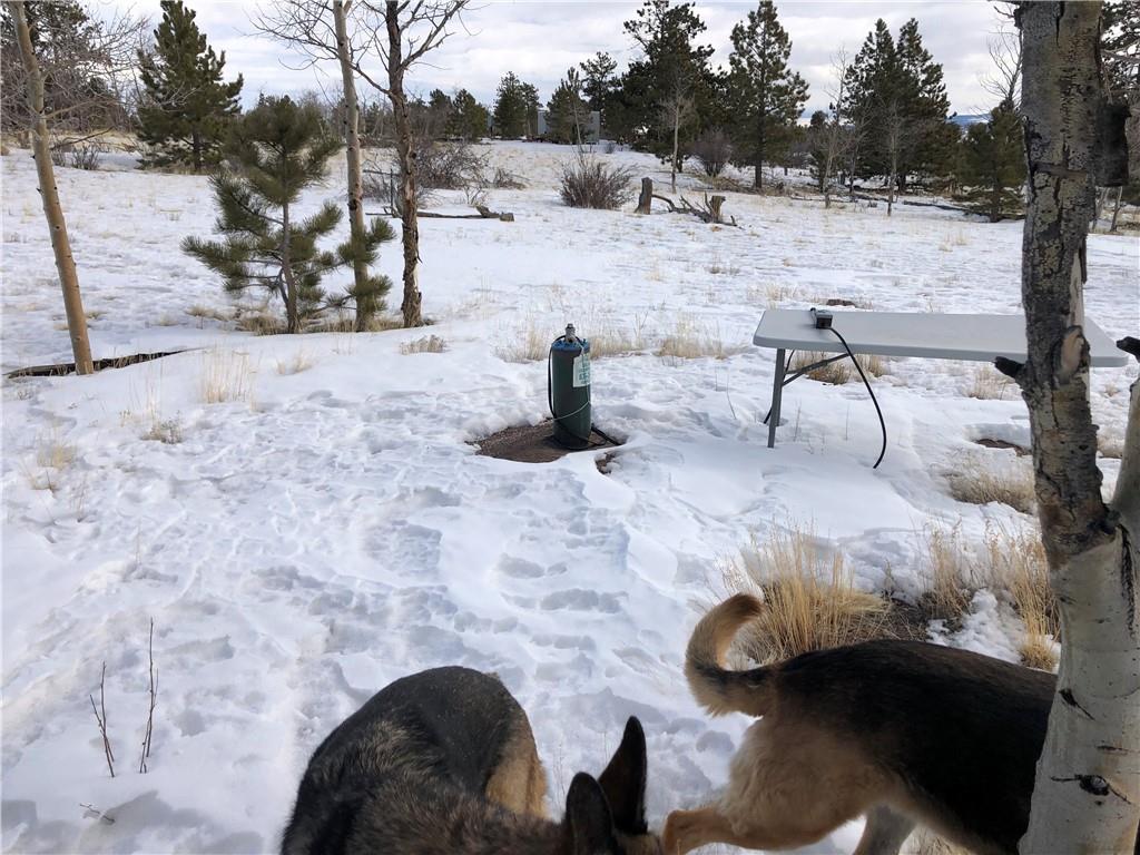 192 Bandana Road Hartsel, CO 80449 - Photo 5 of 10 Gallery Image 5