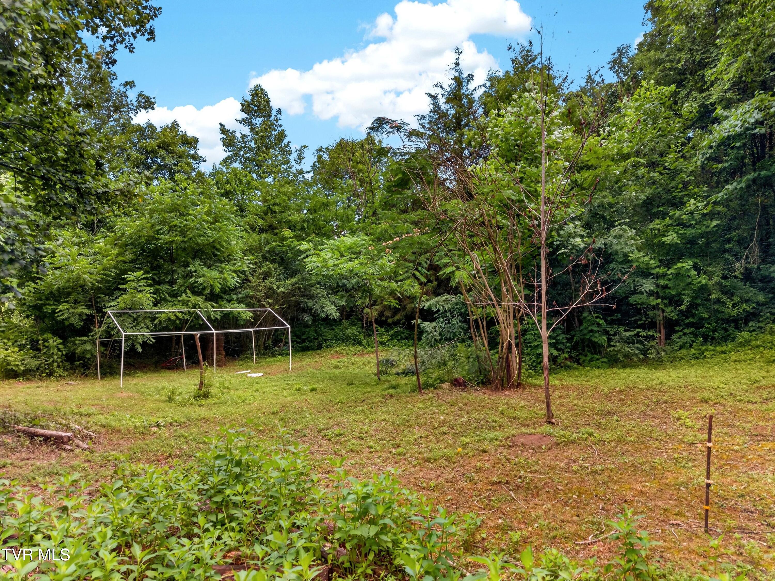 2087 Bullen Valley Road Thorn Hill, TN 37881 - Photo 15 of 29 015-2087BullenValleyRoad-ThornHill-TN-37