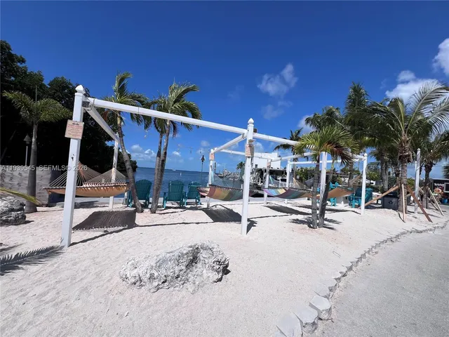 a view of a park with large trees