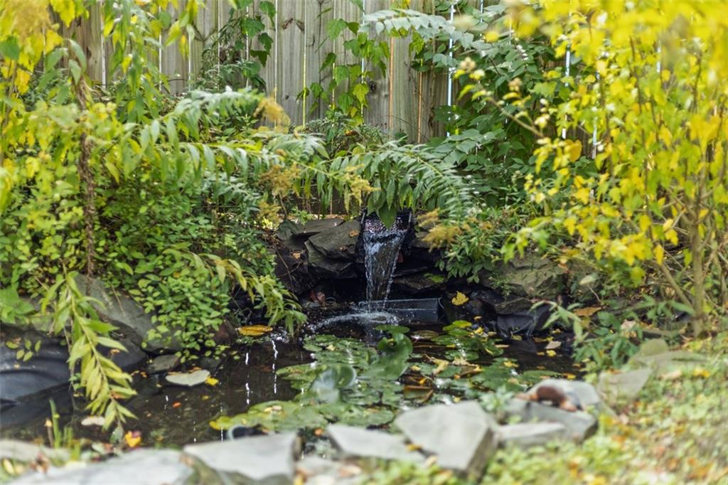 1141 Chislett Street Pittsburgh, PA 15206 - Photo 25 of 34 a plant that is in a garden