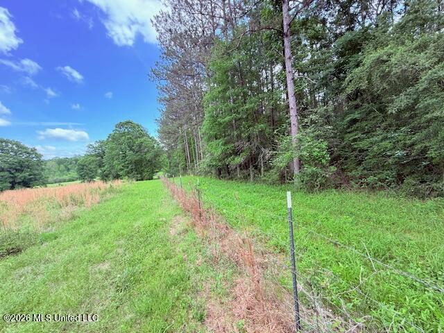 37 Fortenberry Road Tylertown, MS 39667 - Photo 54 of 83 IMG_3687 - Copy