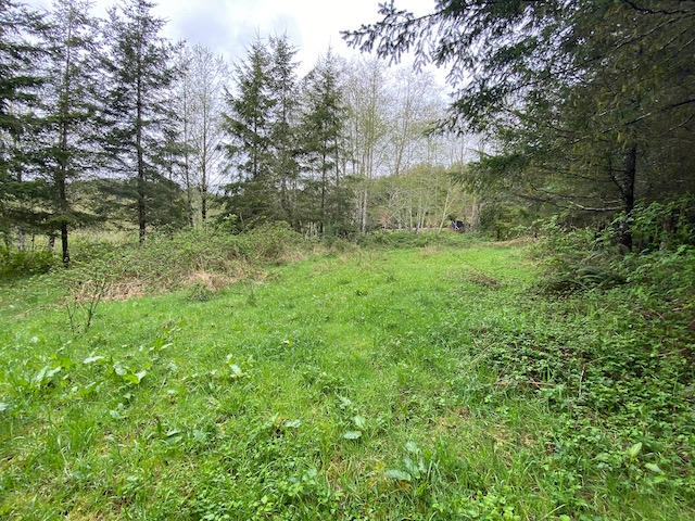 109 Trask River Road Tillamook, OR 97141 - Photo 11 of 21 IMG_7987