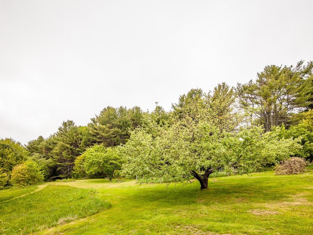 711 Pleasant Point Road Cushing, ME 04563 - Photo 8 of 35 The focal point of the yard and a ...