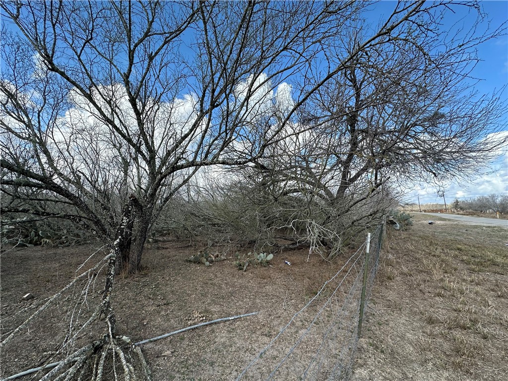 5929 Sweet Water Road Robstown, TX 78380 - Photo 11 of 19