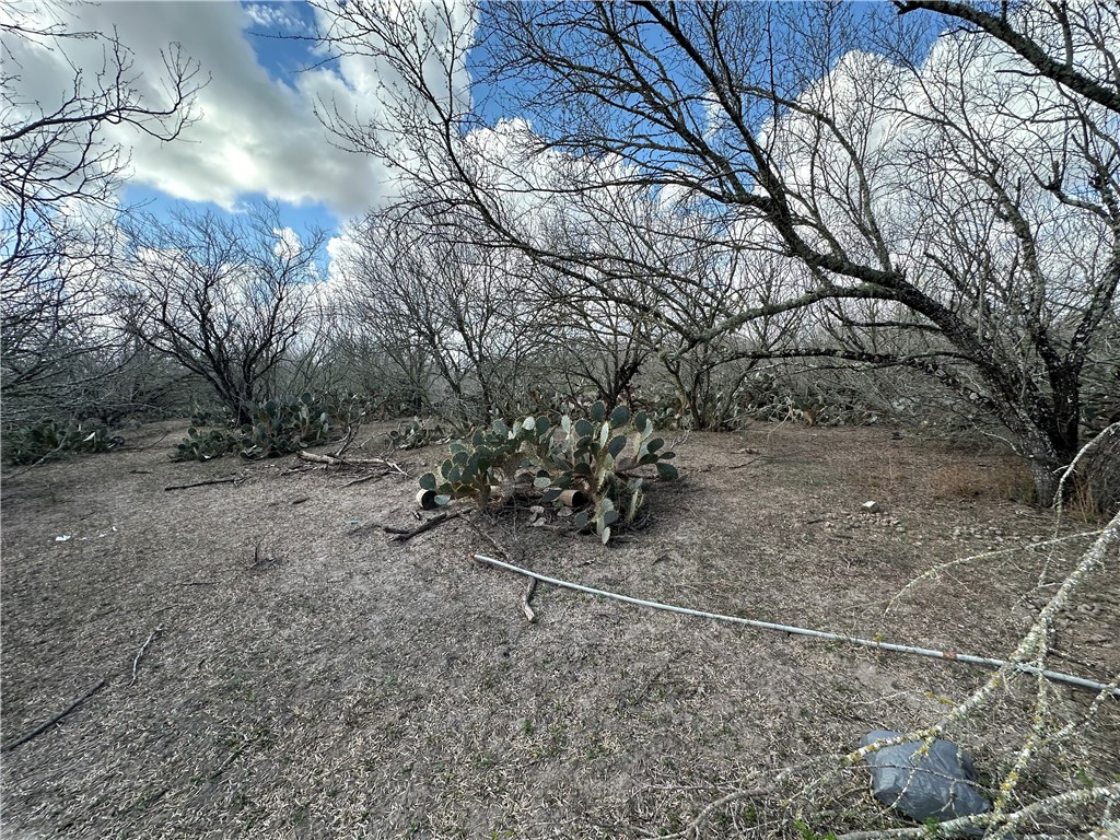 5929 Sweet Water Road Robstown, TX 78380 - Photo 12 of 19