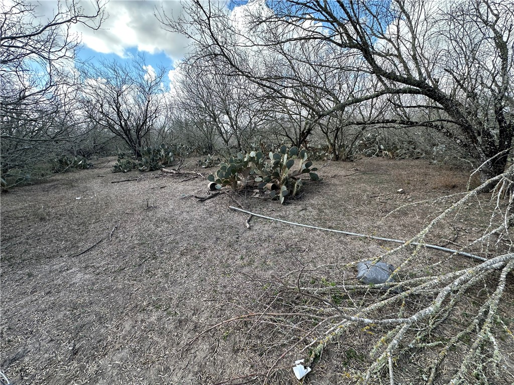 5929 Sweet Water Road Robstown, TX 78380 - Photo 13 of 19
