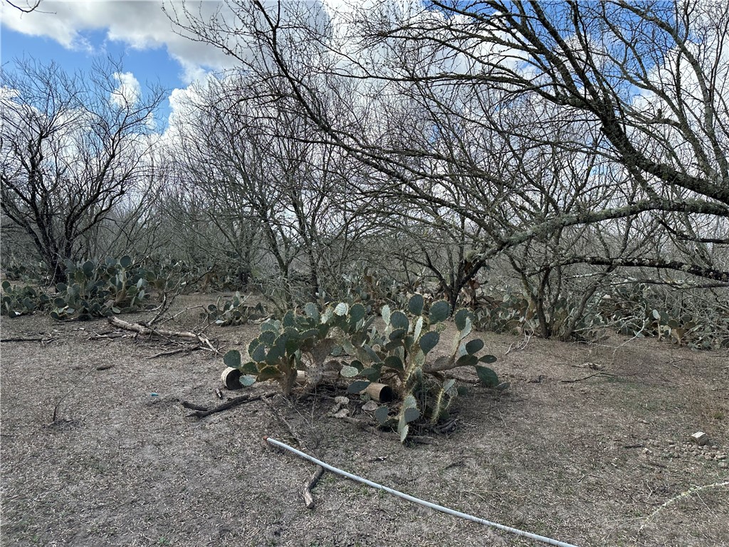 5929 Sweet Water Road Robstown, TX 78380 - Photo 14 of 19