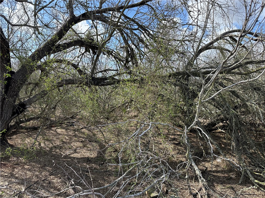 5929 Sweet Water Road Robstown, TX 78380 - Photo 15 of 19