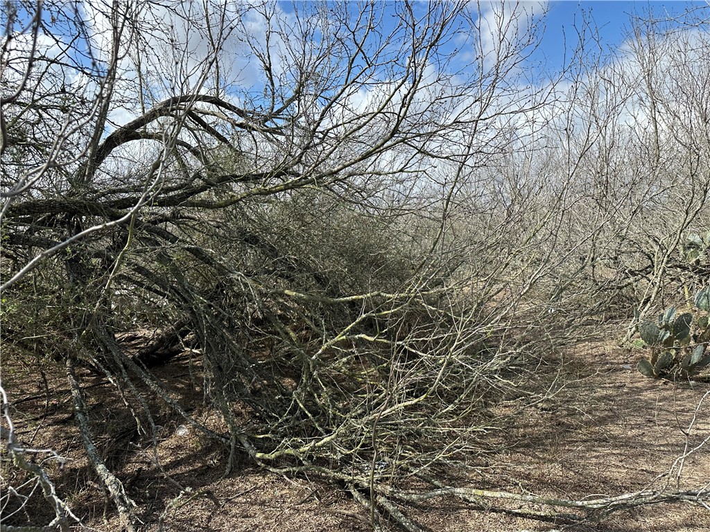 5929 Sweet Water Road Robstown, TX 78380 - Photo 16 of 19