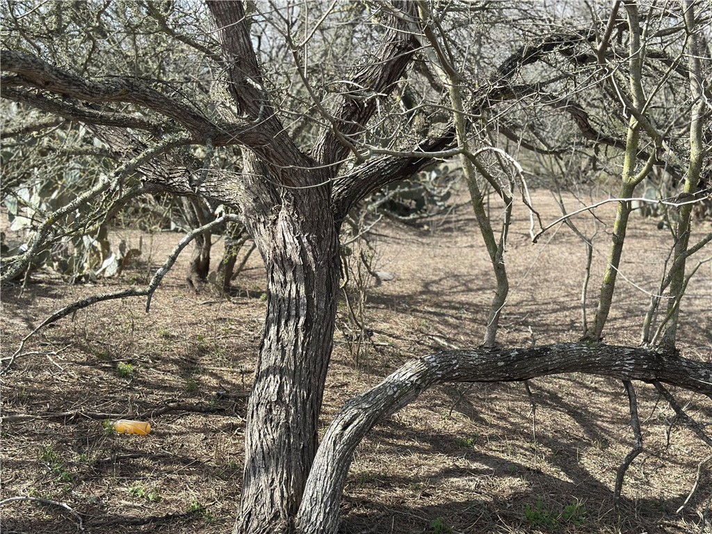 5929 Sweet Water Road Robstown, TX 78380 - Photo 17 of 19