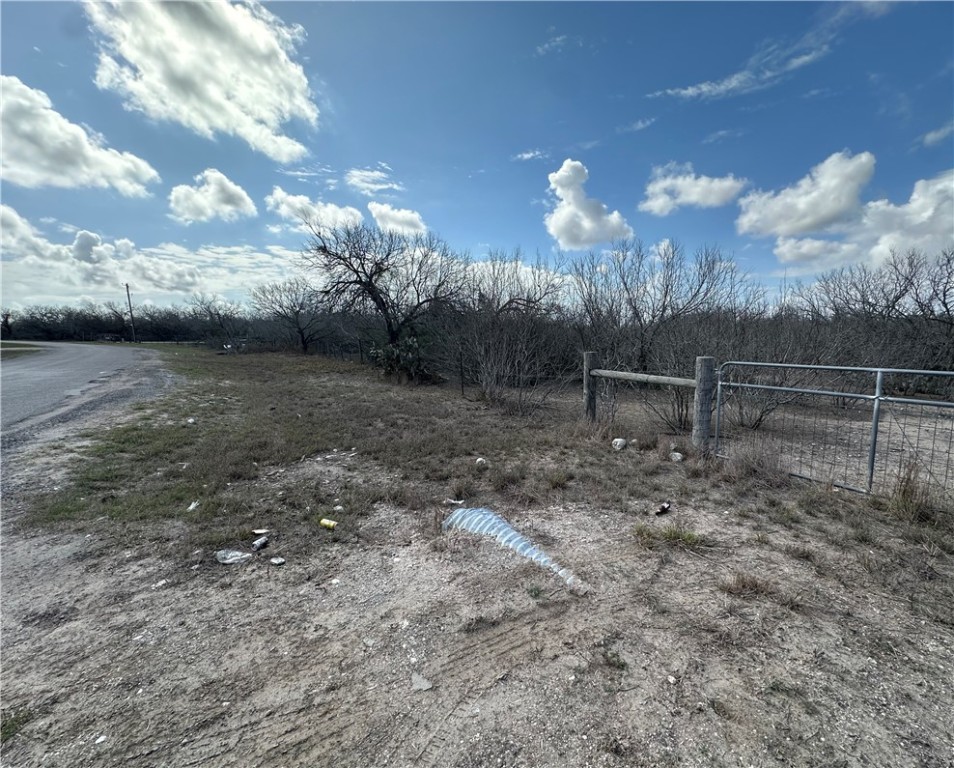 5929 Sweet Water Road Robstown, TX 78380 - Photo 19 of 19