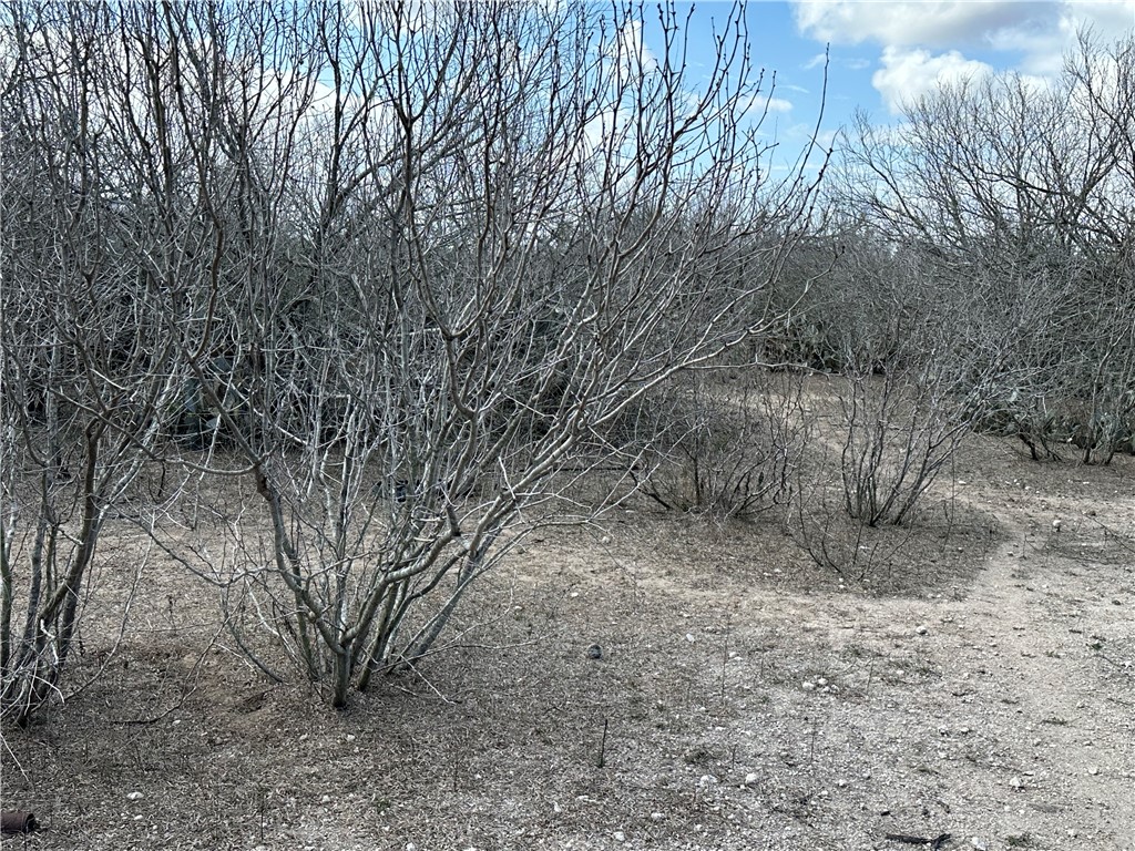 5929 Sweet Water Road Robstown, TX 78380 - Photo 4 of 19