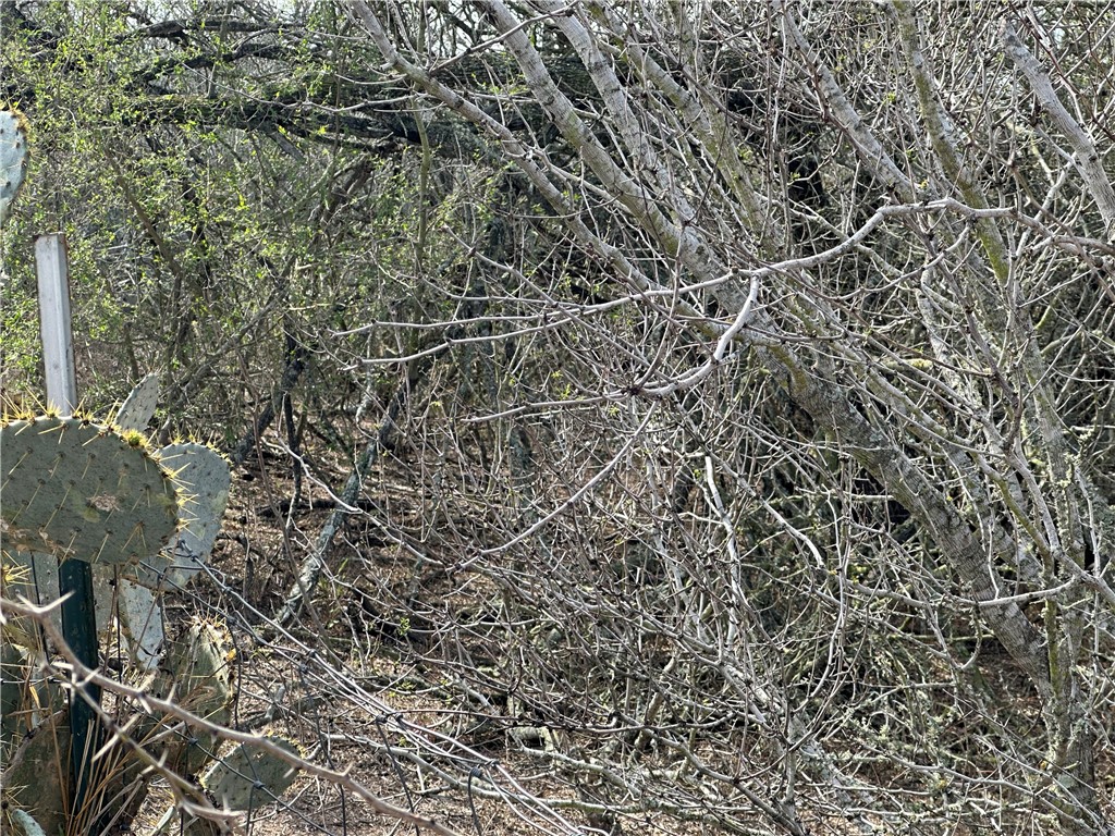 5929 Sweet Water Road Robstown, TX 78380 - Photo 6 of 19