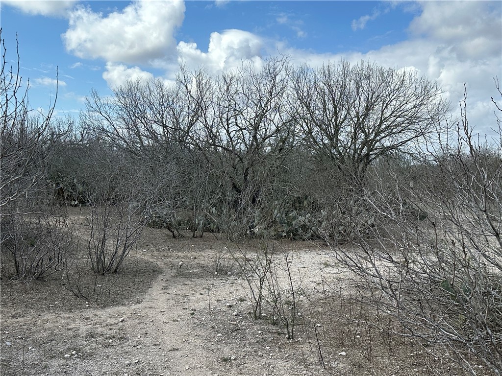 5929 Sweet Water Road Robstown, TX 78380 - Photo 8 of 19