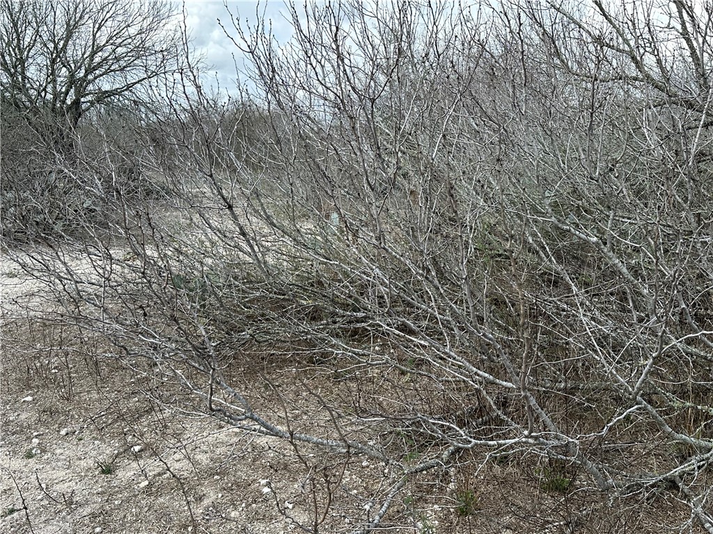 5929 Sweet Water Road Robstown, TX 78380 - Photo 9 of 19