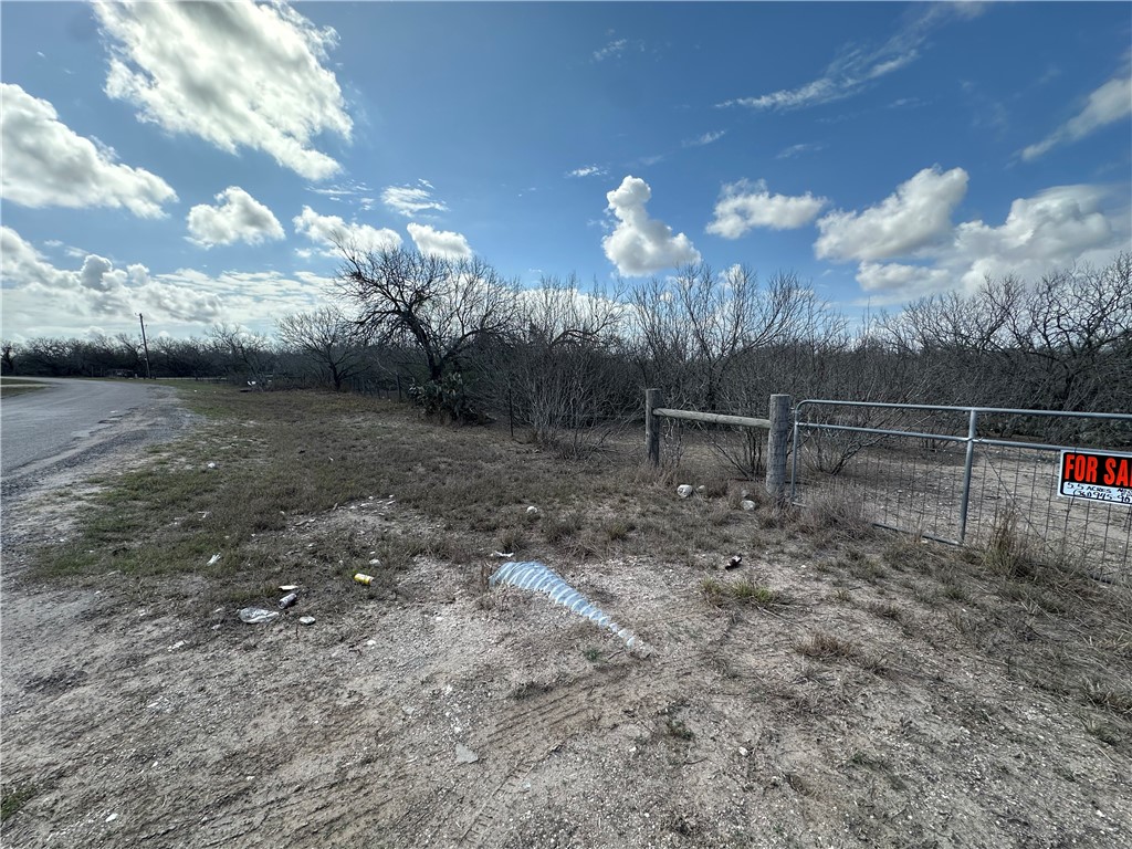 5929 Sweet Water Road Robstown, TX 78380 - Photo 10 of 19