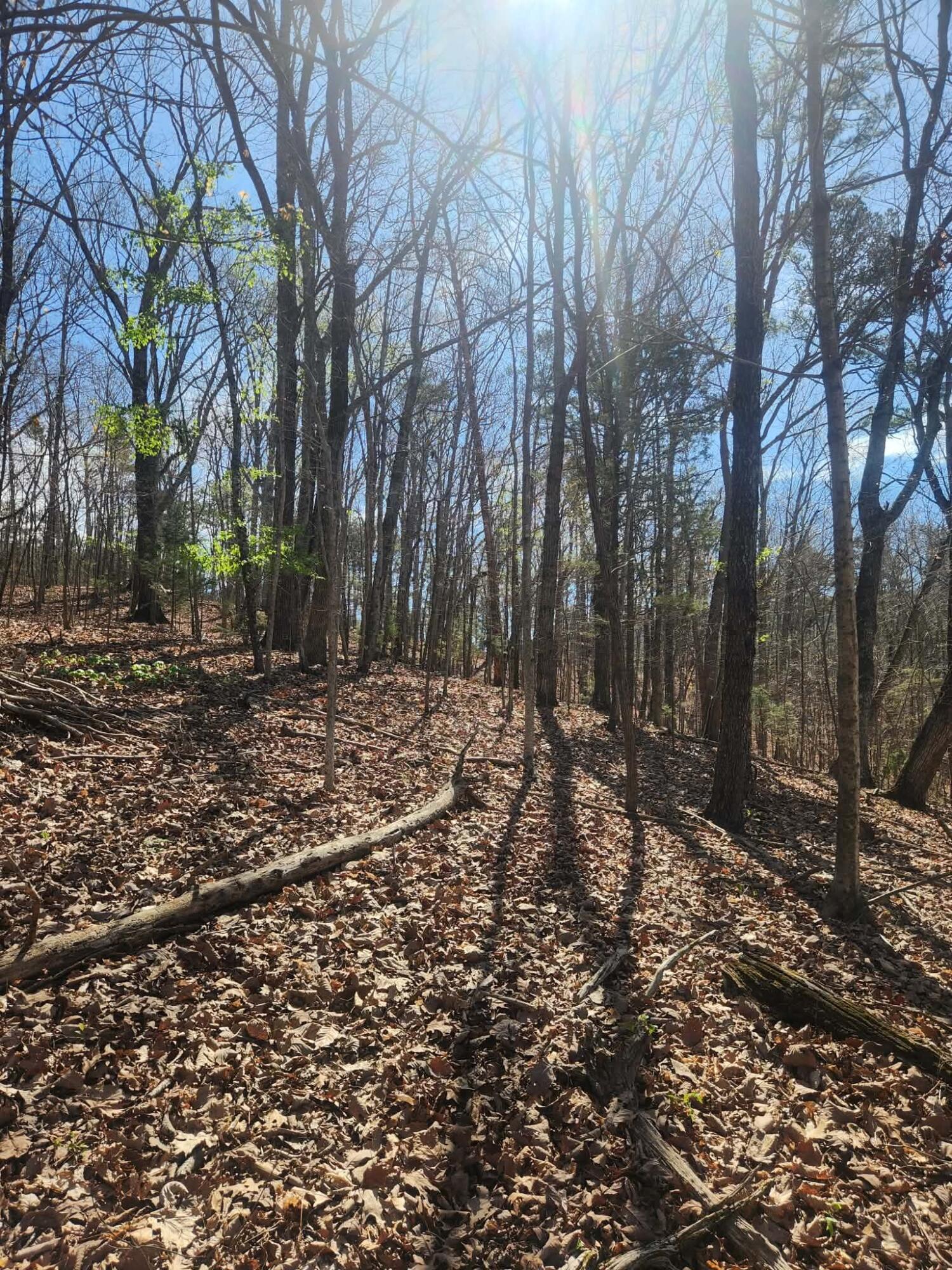 0 F Graham Road Dunlap, TN 37327 - Photo 11 of 23 119fde80-ef50-4e7d-b184-64522bb1ebbe