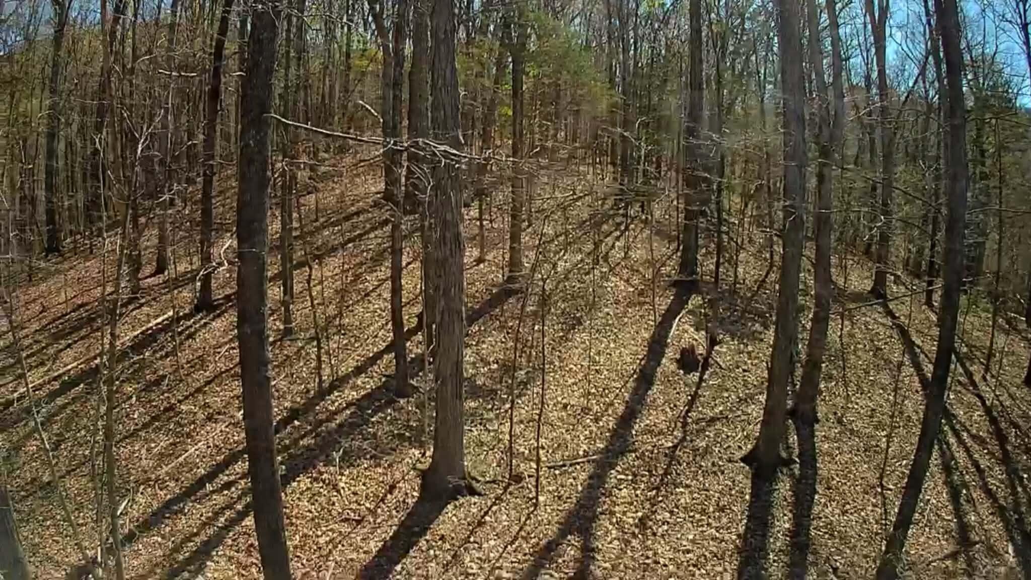 0 F Graham Road Dunlap, TN 37327 - Photo 13 of 23 67e3b7d5-0771-4189-98ee-ef8d5e5ed378