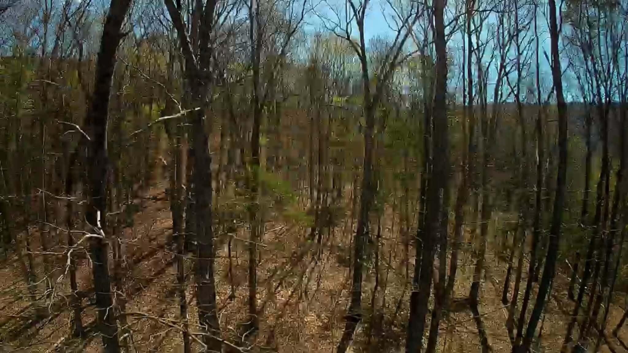 0 F Graham Road Dunlap, TN 37327 - Photo 14 of 23 6419a946-6307-4a70-a0fa-fbe3ae0831e1
