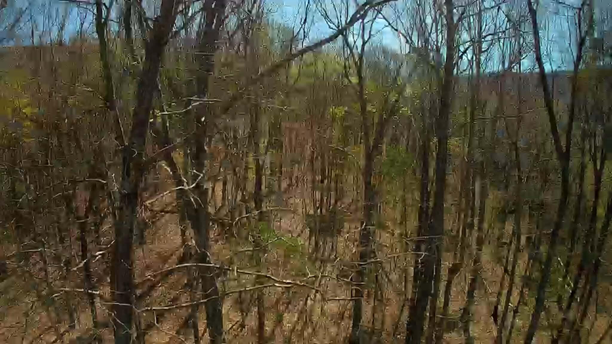 0 F Graham Road Dunlap, TN 37327 - Photo 15 of 23 1ce484f1-78bc-4fbc-a596-6f2c573d9f7f