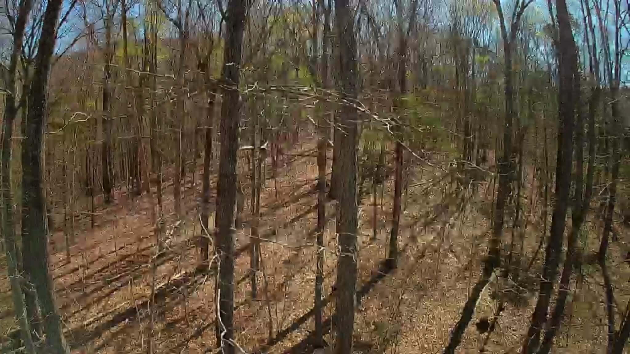 0 F Graham Road Dunlap, TN 37327 - Photo 16 of 23 085d2af6-1668-4e67-8100-f503148a39d1