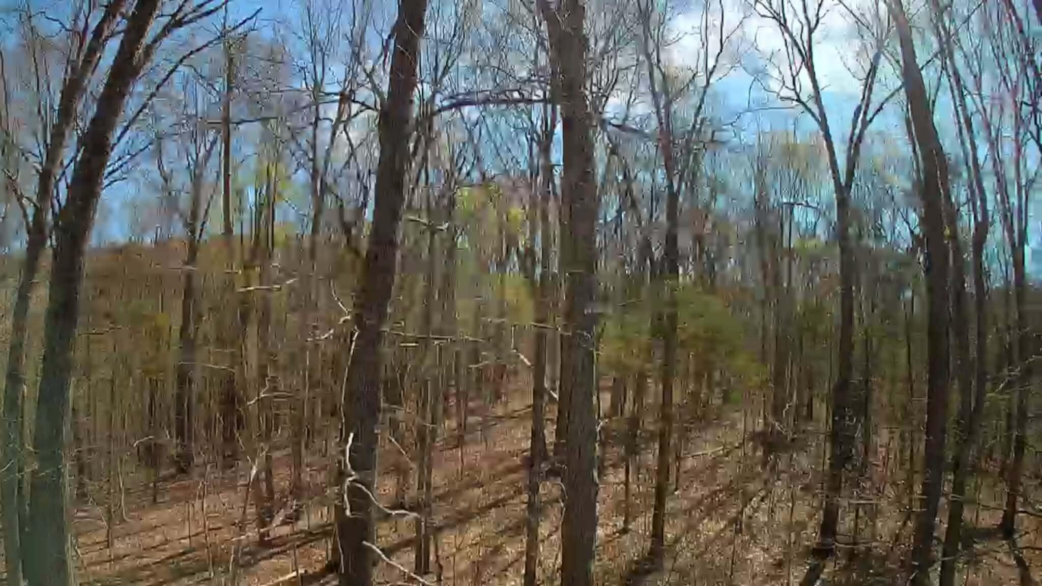 0 F Graham Road Dunlap, TN 37327 - Photo 17 of 23 7ce2d06a-55c7-4d7a-939d-ca89af43f0ed