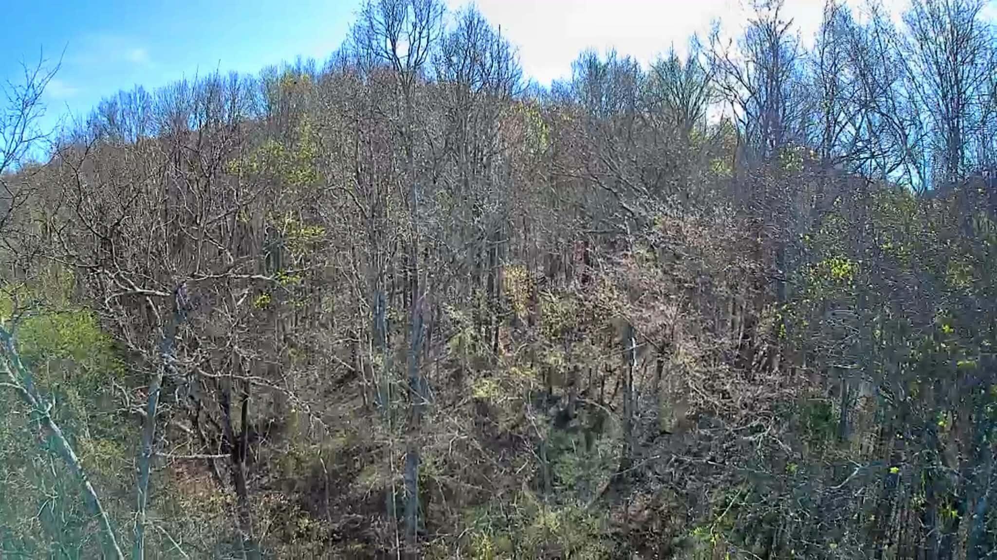 0 F Graham Road Dunlap, TN 37327 - Photo 23 of 23 44763dd6-a785-4271-8b8f-dd0656c36388