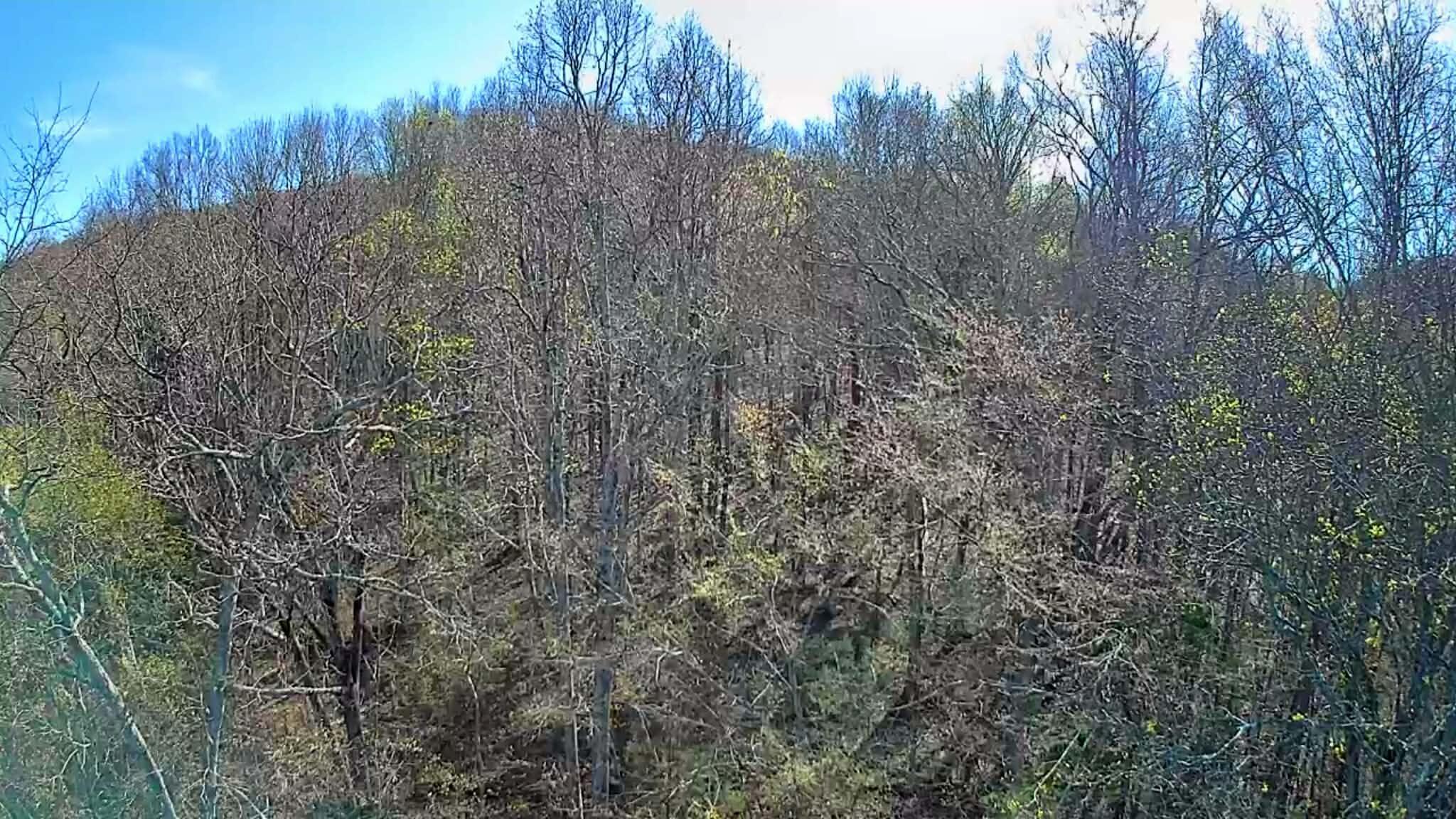 0 F Graham Road Dunlap, TN 37327 - Photo 3 of 23 9801a309-5c33-4b74-90cb-2e3705c5b734