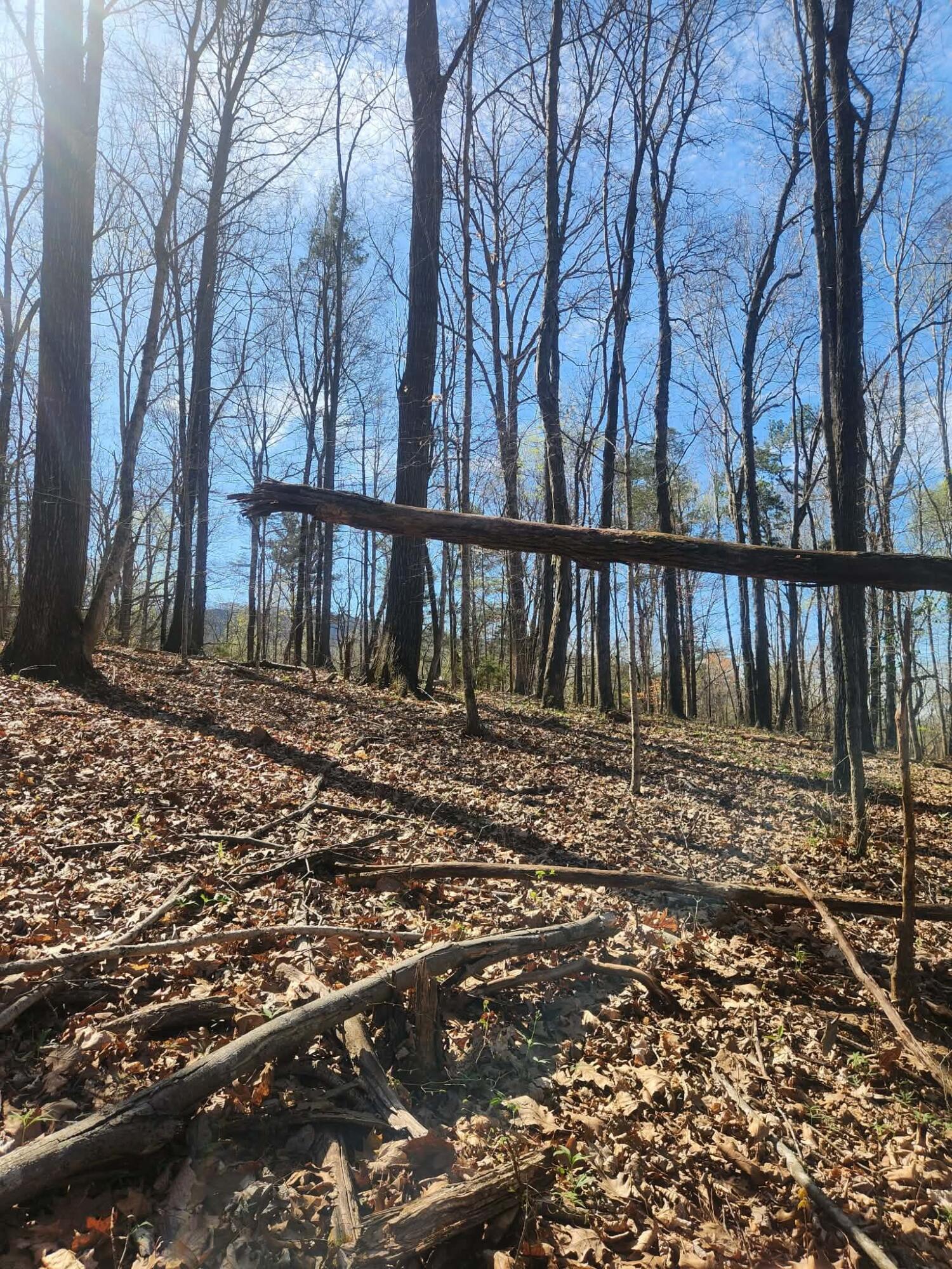 0 F Graham Road Dunlap, TN 37327 - Photo 4 of 23 29662935-70d9-4e81-8308-ba27a434a53b