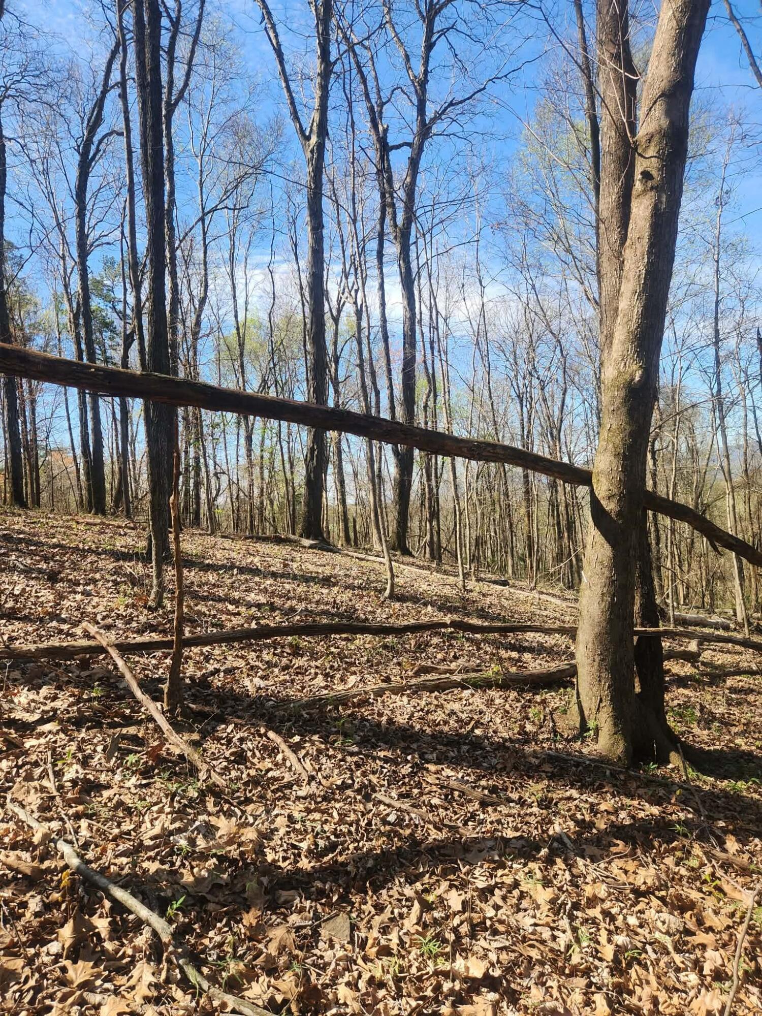 0 F Graham Road Dunlap, TN 37327 - Photo 5 of 23 3cb46c34-29f6-4c5a-8a15-c16f1c89f90a