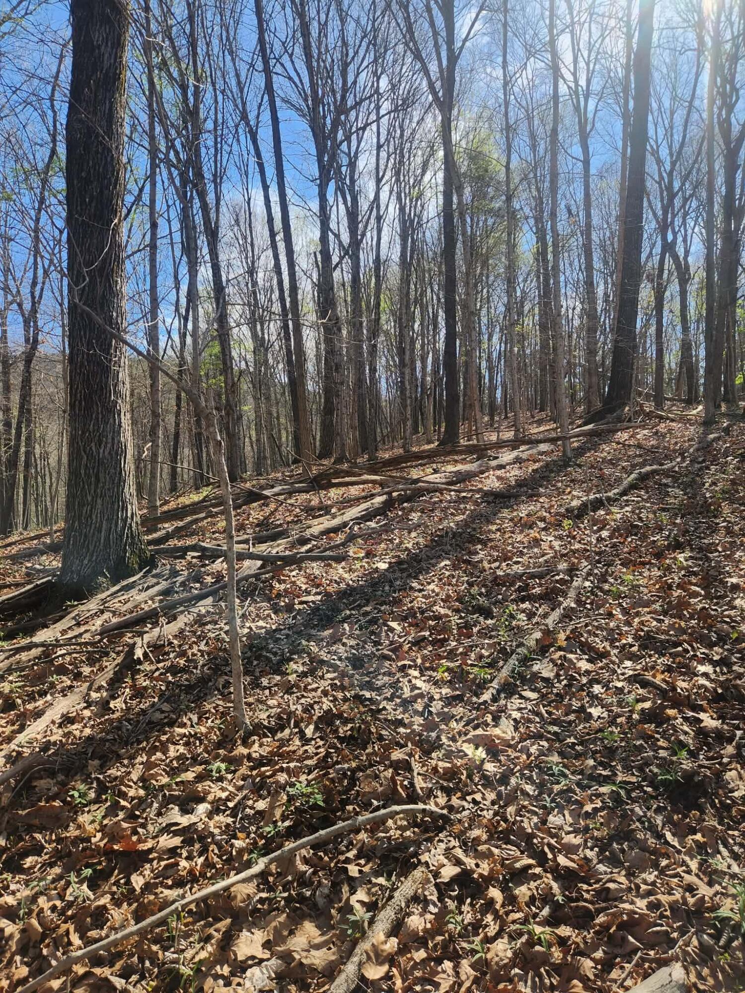0 F Graham Road Dunlap, TN 37327 - Photo 6 of 23 445dd30a-be16-4ebb-9c7d-c3cd59ab8a3a