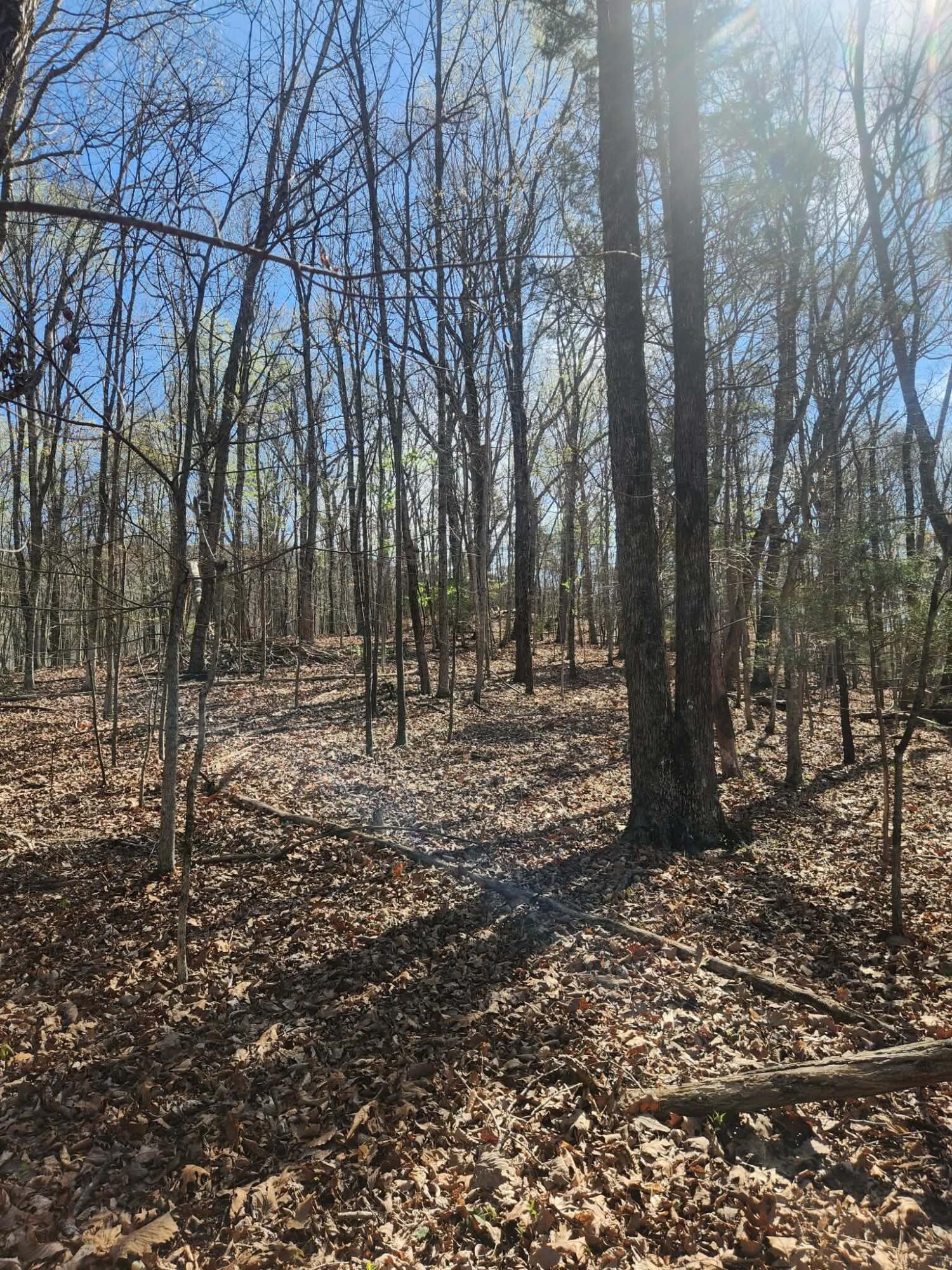 0 F Graham Road Dunlap, TN 37327 - Photo 7 of 23 1338fb9b-8ee9-453b-a3b8-49e30783c22d