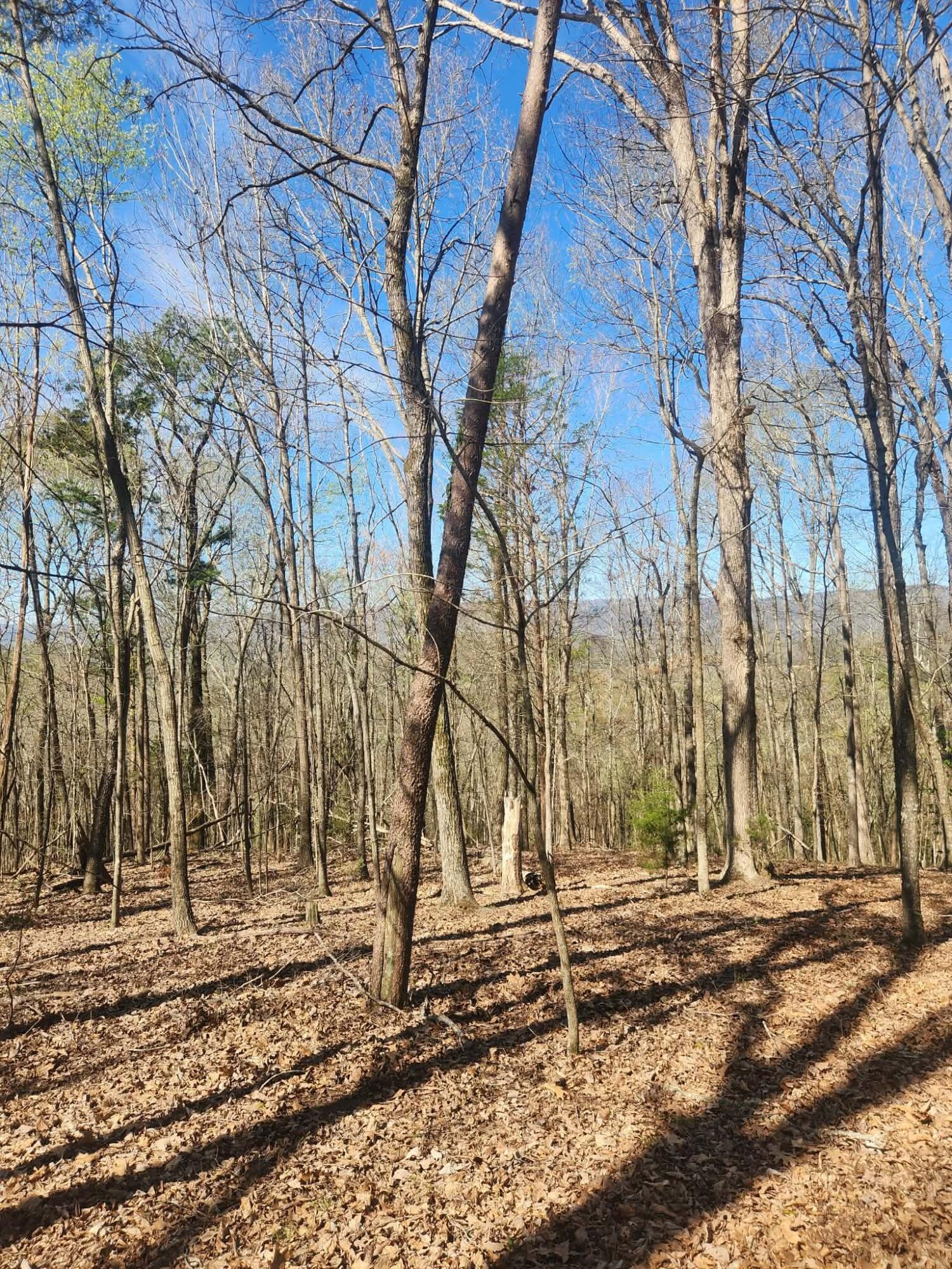 0 F Graham Road Dunlap, TN 37327 - Photo 9 of 23 a1e05fbd-3a10-4ff4-8268-76c45417220d