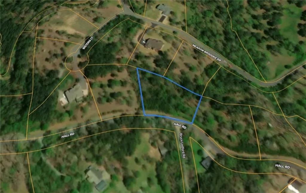 0 Hall Road Young Harris, GA 30582 - Photo 3 of 7 a view of a plant