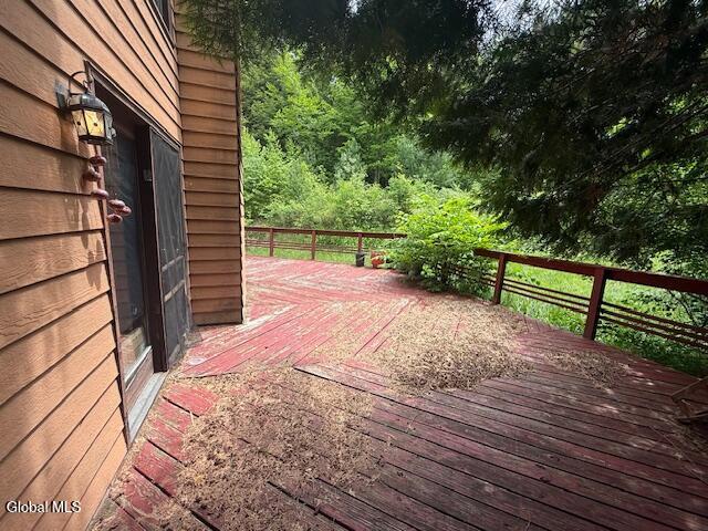 425 Barton Hill Road Delanson, NY 12053 - Photo 26 of 29 IMG_9201