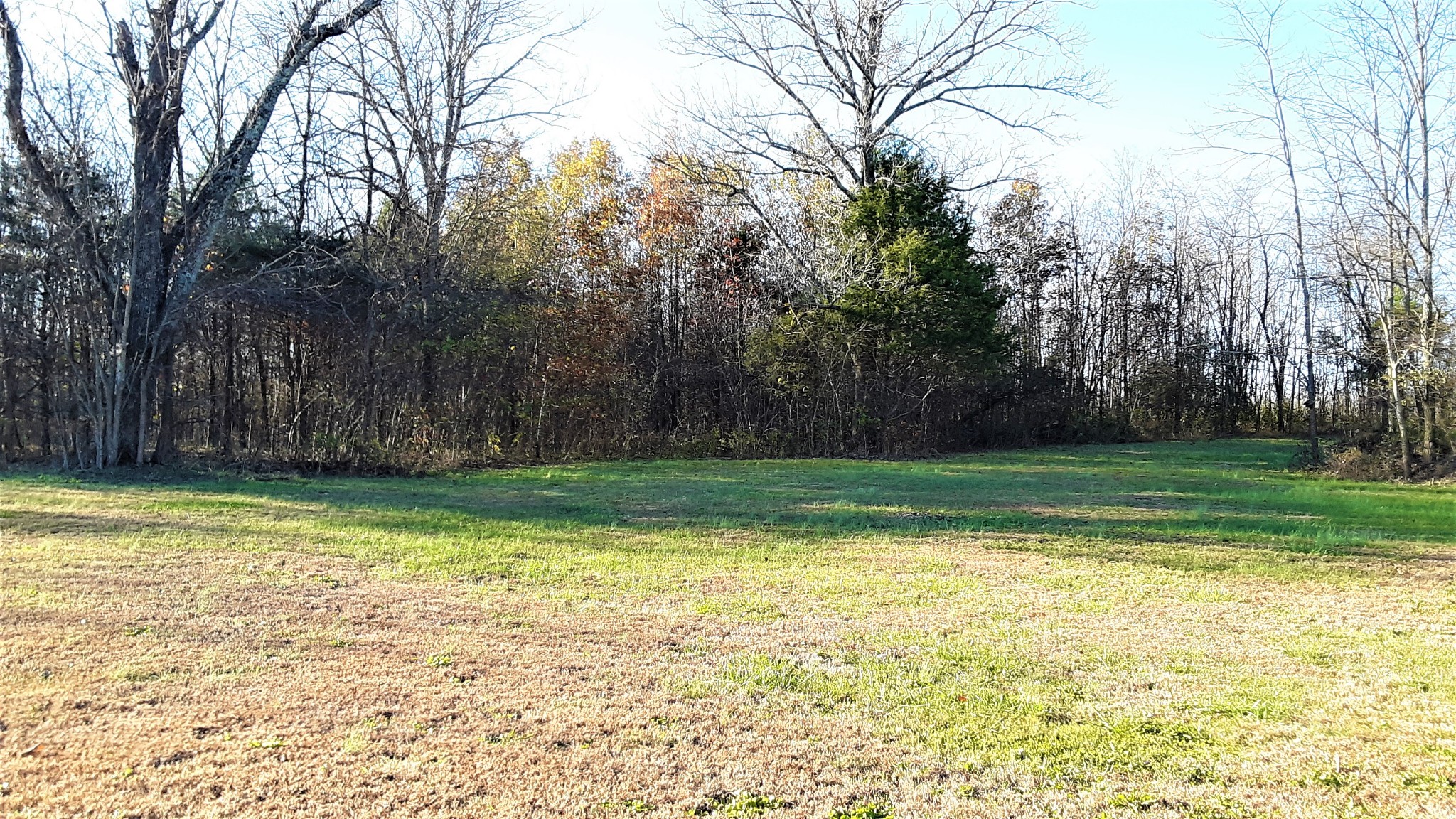 1285 Bass Road Bethpage, TN 37022 - Photo 9 of 31 Gallery Image 9