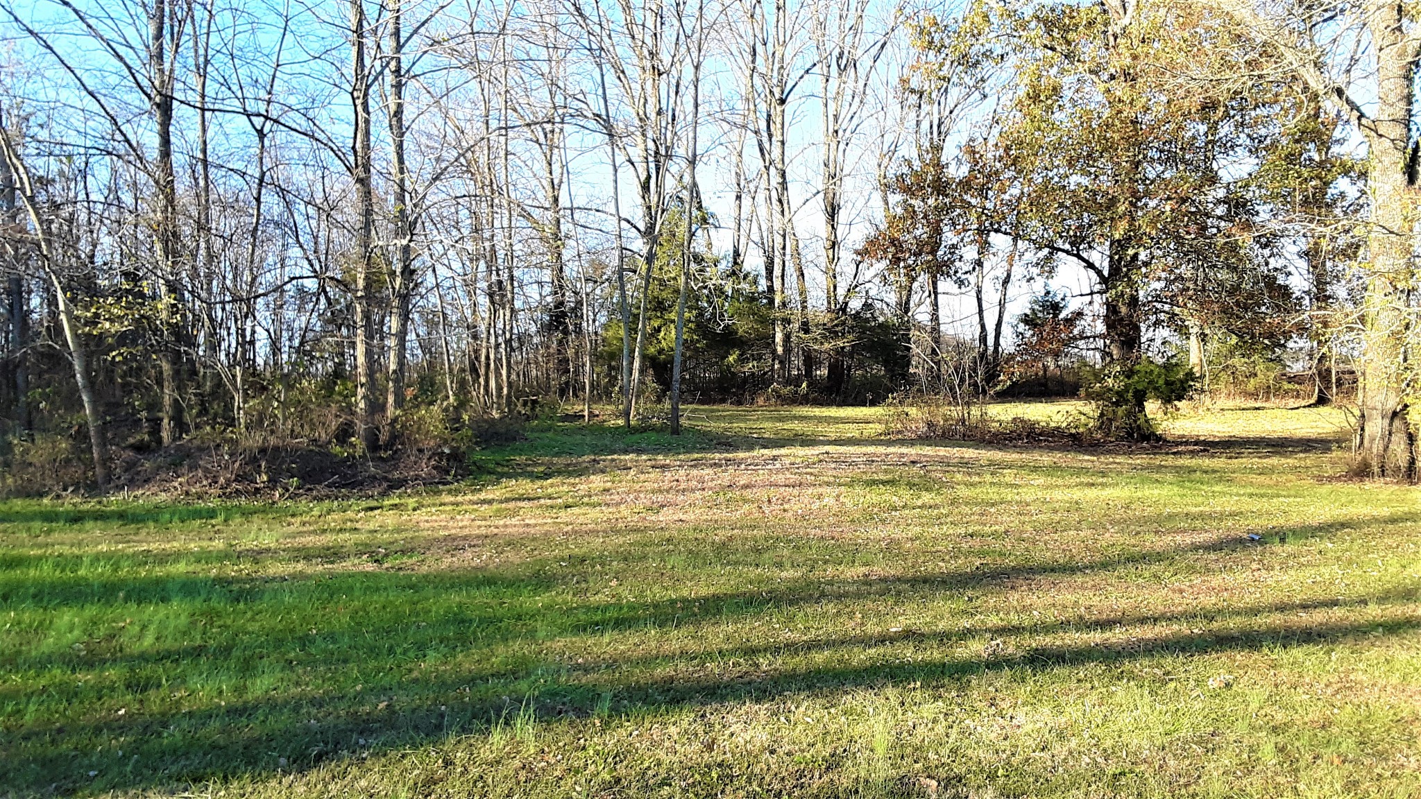 1285 Bass Road Bethpage, TN 37022 - Photo 10 of 31 Gallery Image 10