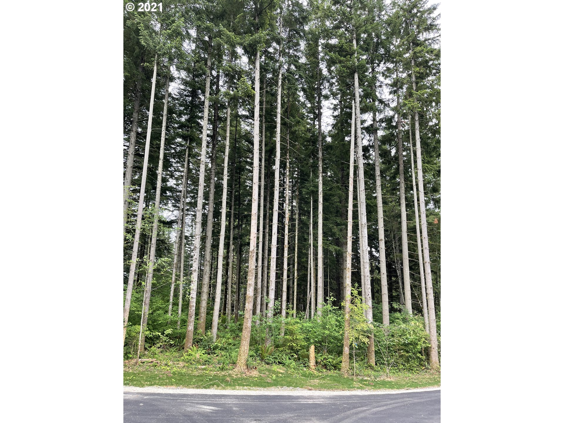 4 Northeast 65th Street Camas, WA 98607 - Photo 2 of 22