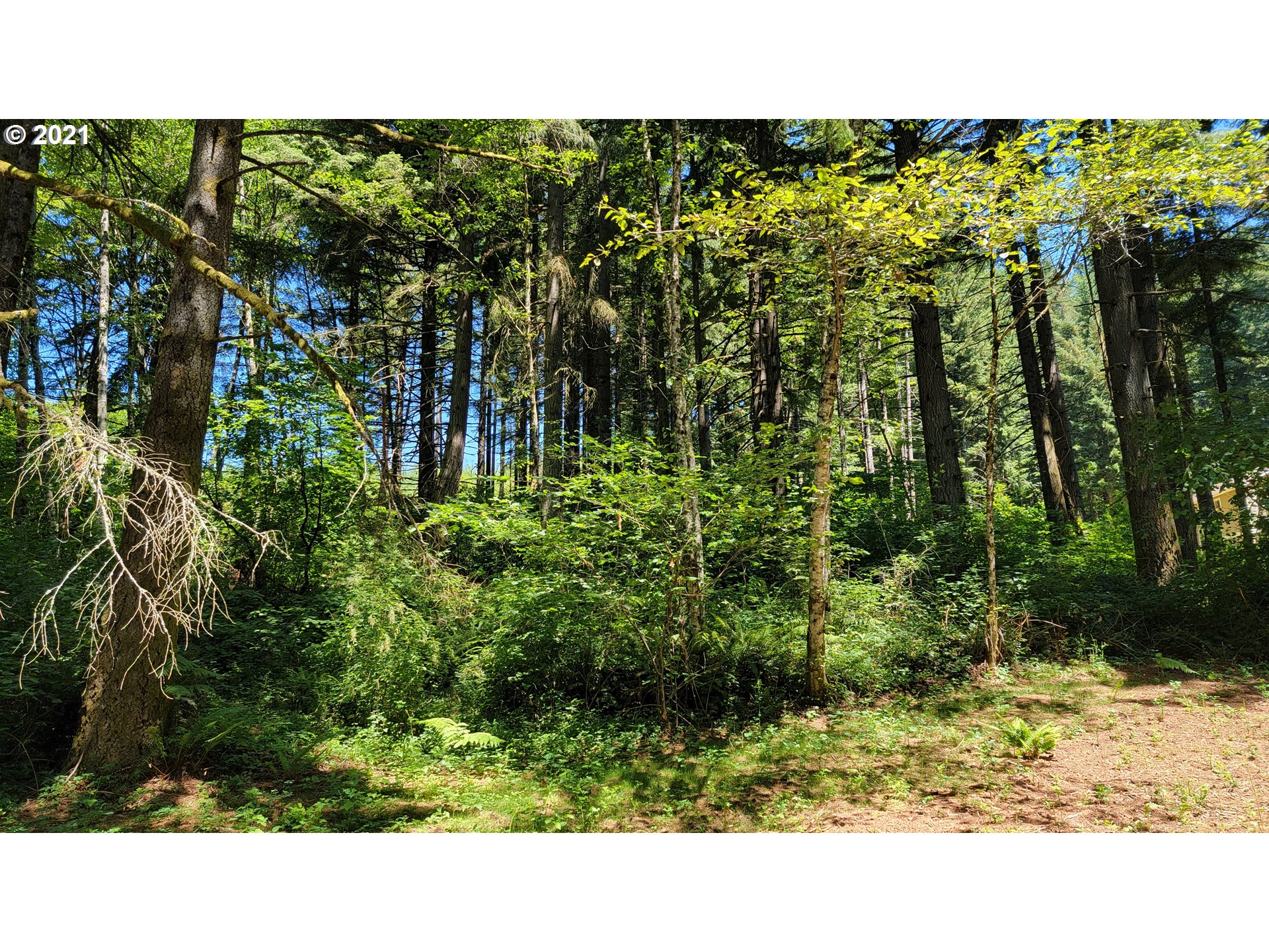 4 Northeast 65th Street Camas, WA 98607 - Photo 11 of 22