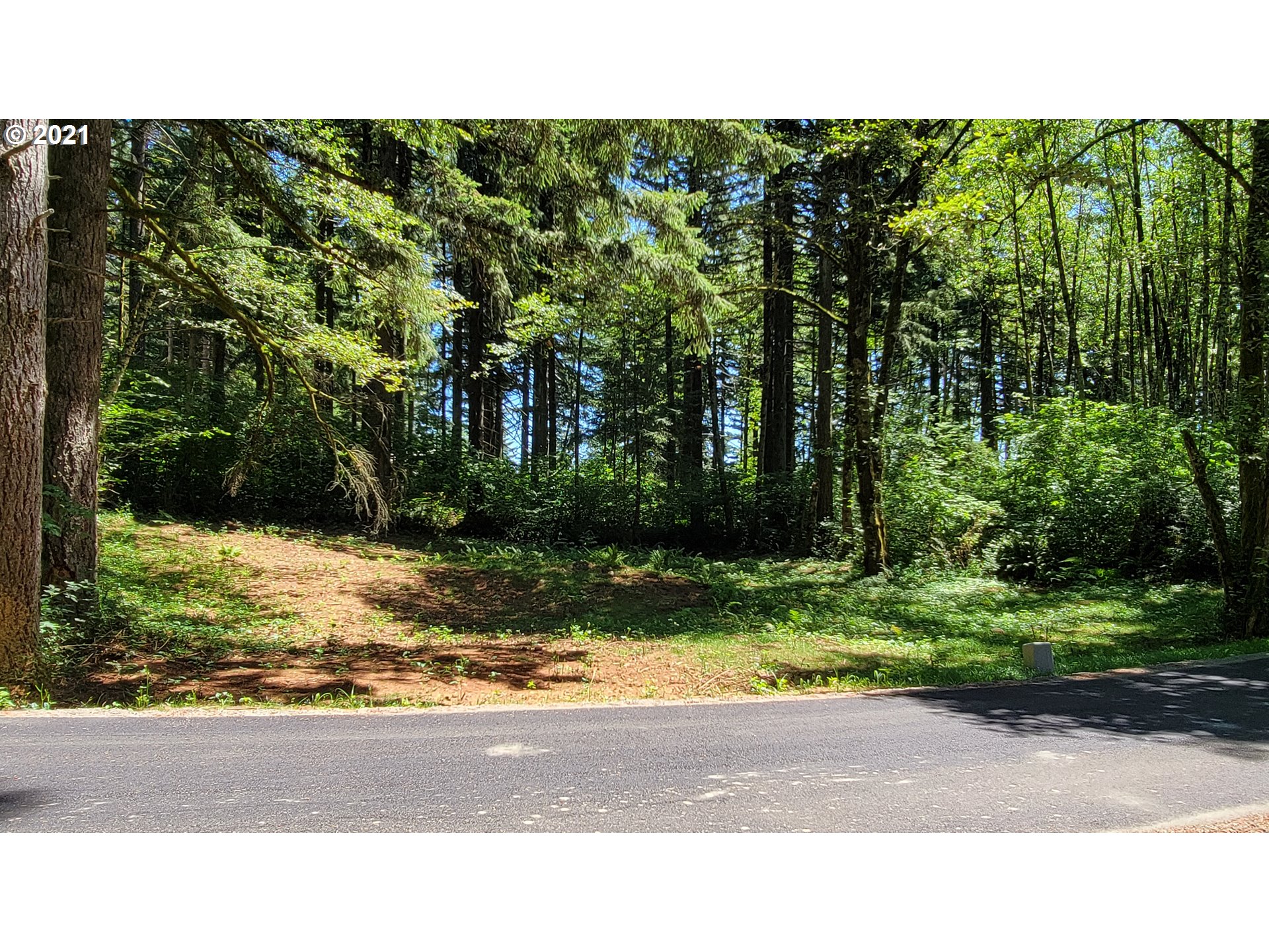 4 Northeast 65th Street Camas, WA 98607 - Photo 13 of 22