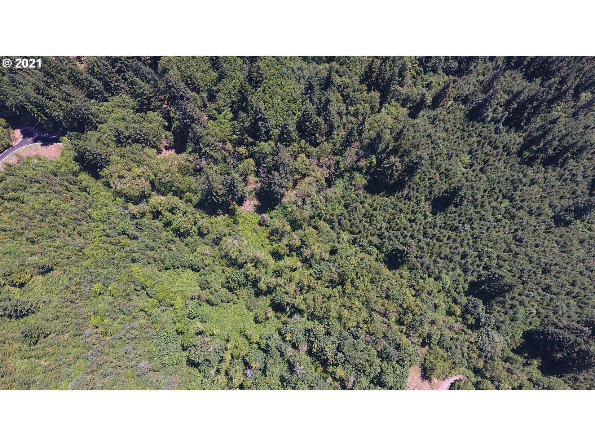 4 Northeast 65th Street Camas, WA 98607 - Photo 17 of 22