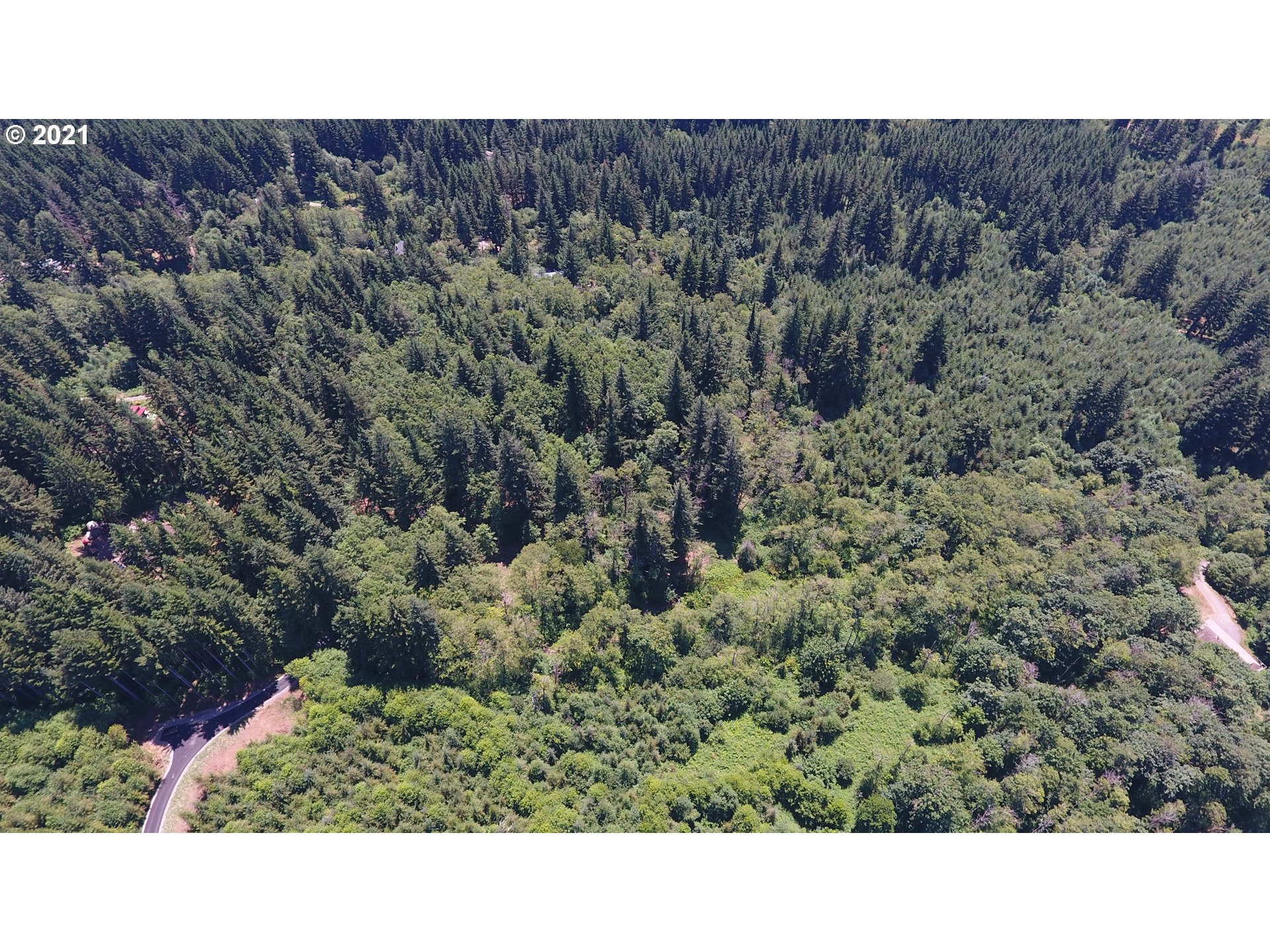 4 Northeast 65th Street Camas, WA 98607 - Photo 18 of 22
